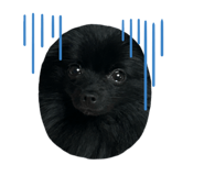 842528884
