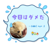 842528888