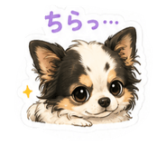 842529111