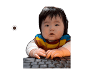 842532411