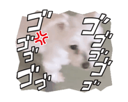 842532818
