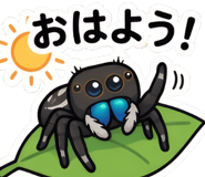 842534047