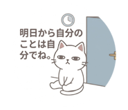 842534234