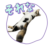 842534589