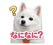 842534807