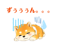 842535597