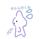 842535958