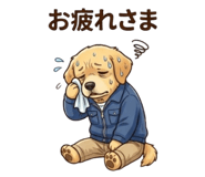 842536011