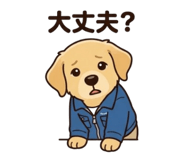 842536017