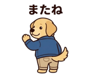 842536037
