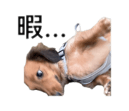 842536043