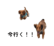 842536044