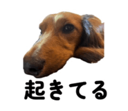 842536046