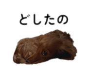 842536047