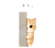 842536190
