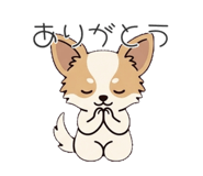 842536571