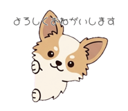 842536574