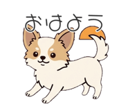842536576