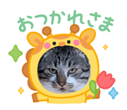 842536714
