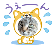 842536716