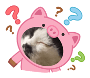 842536720