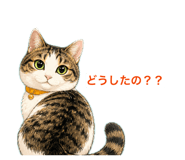 842536757