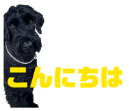 842536825