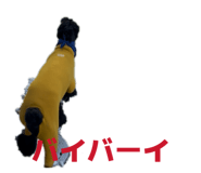842536829