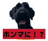 842536831