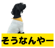 842536832
