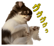 842537147