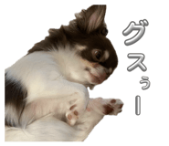 842537148