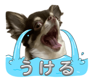 842537165