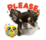 842537166