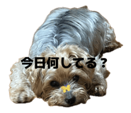 842537170