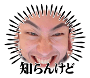 842537346