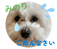 842537636