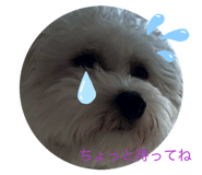 842537638
