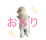 842537648