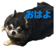 842537898