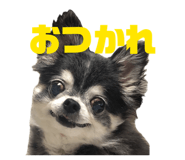 842537900