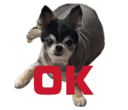 842537902