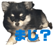 842537909