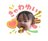 842537913