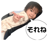 842538037