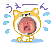842538060