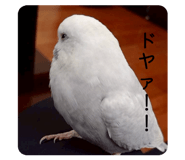 842538067