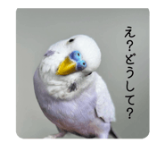 842538070