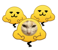 842538407