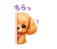 842538831